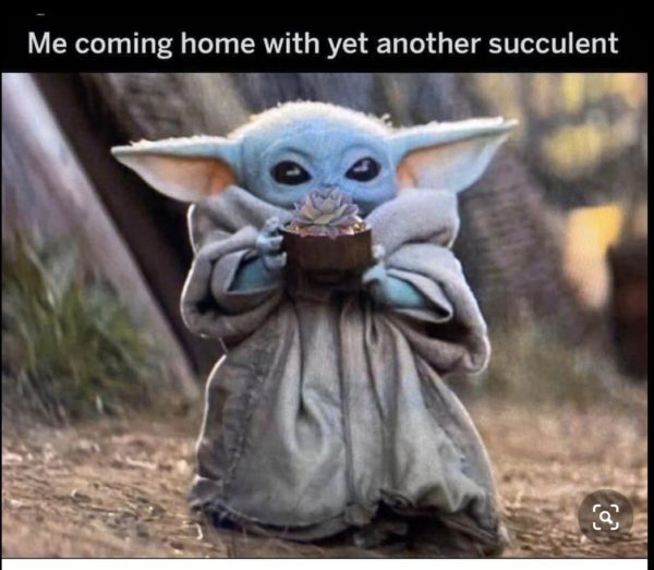 Final Baby Yoda Memes Season Live One Good Life